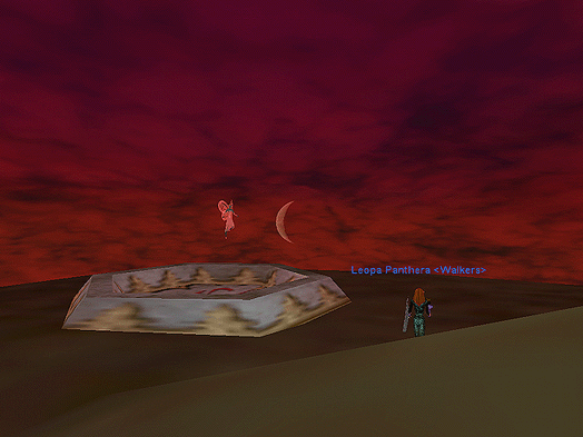 Leopa looks at the moon