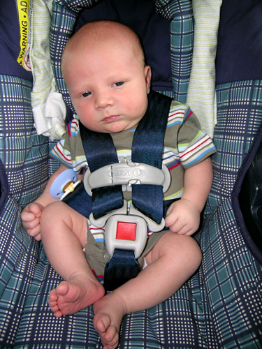 James preparing to go on a car ride