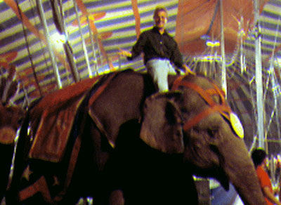Yes, it's blurry. It's better than your picture of you riding an elephant, pal.