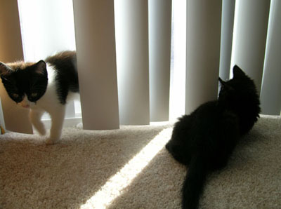 Hanna and Lucky play in the blinds