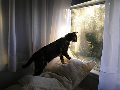 Dora looking out the window, with a strong reflection in the glass