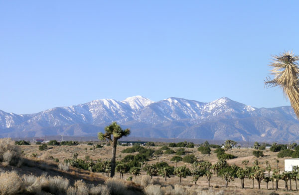 A snow-covered mountain looks down on the High Desert